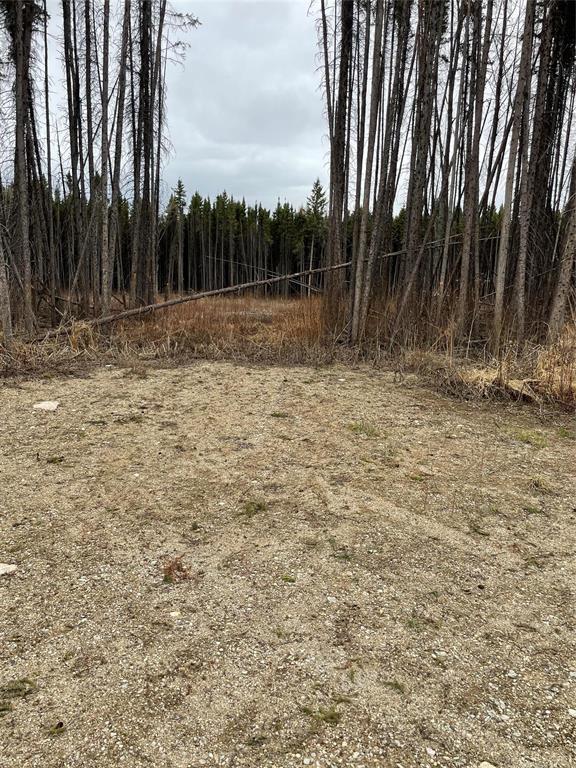 109013 Pth 10 Highway, Onanole, MB