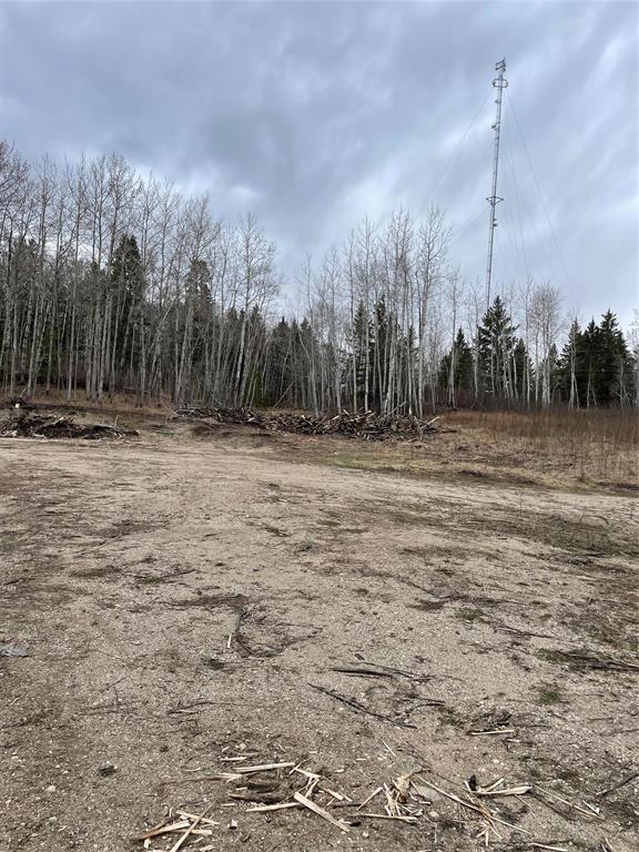 109013 Pth 10 Highway, Onanole, MB