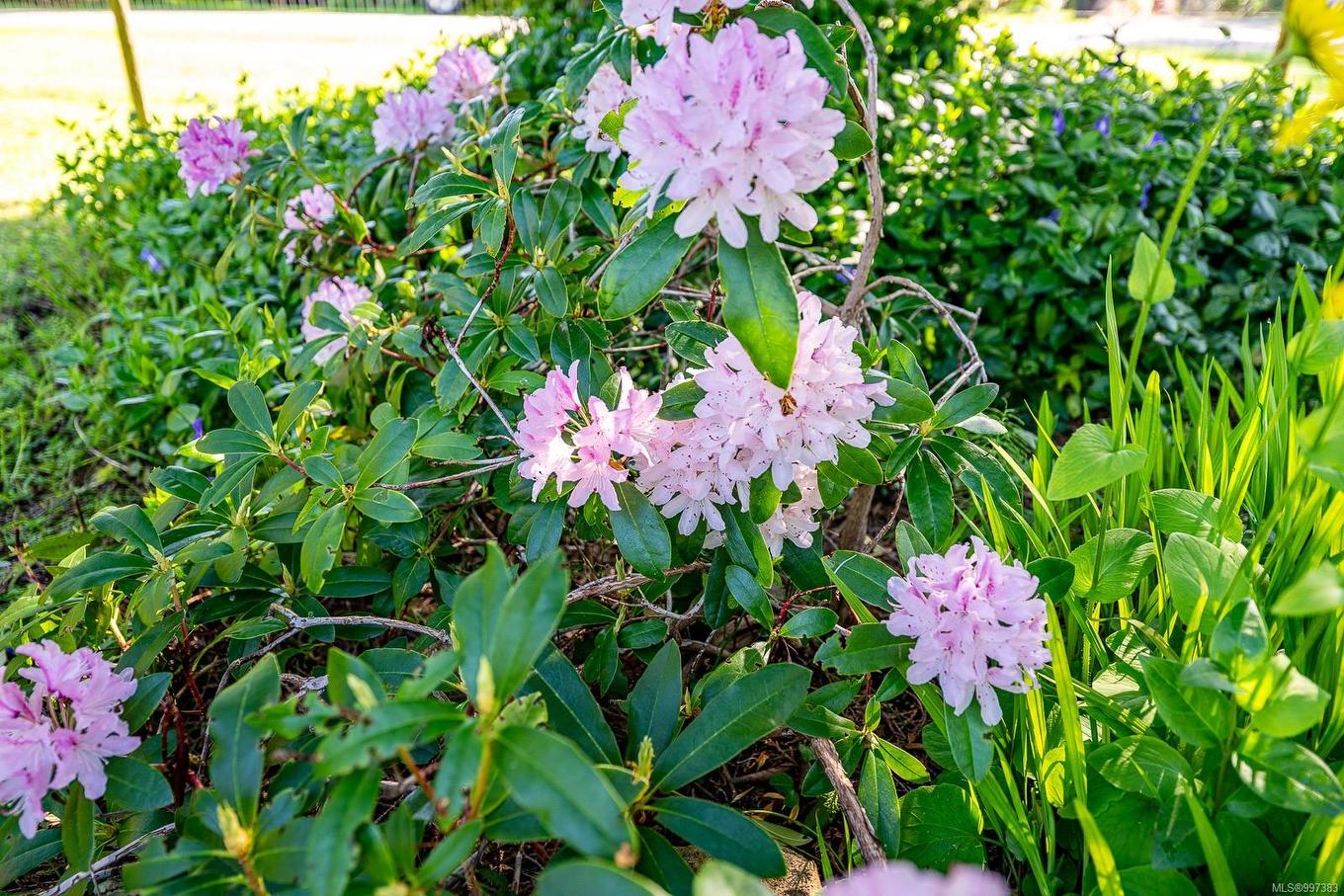 1495 Baikie Rd, Denman Island, BC