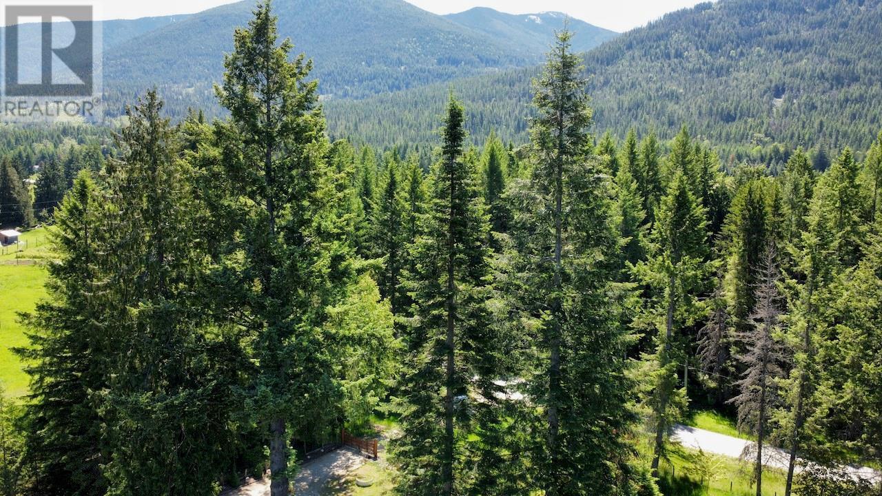 7047 Harrop-Procter Road, Harrop, BC - Outdoor With View