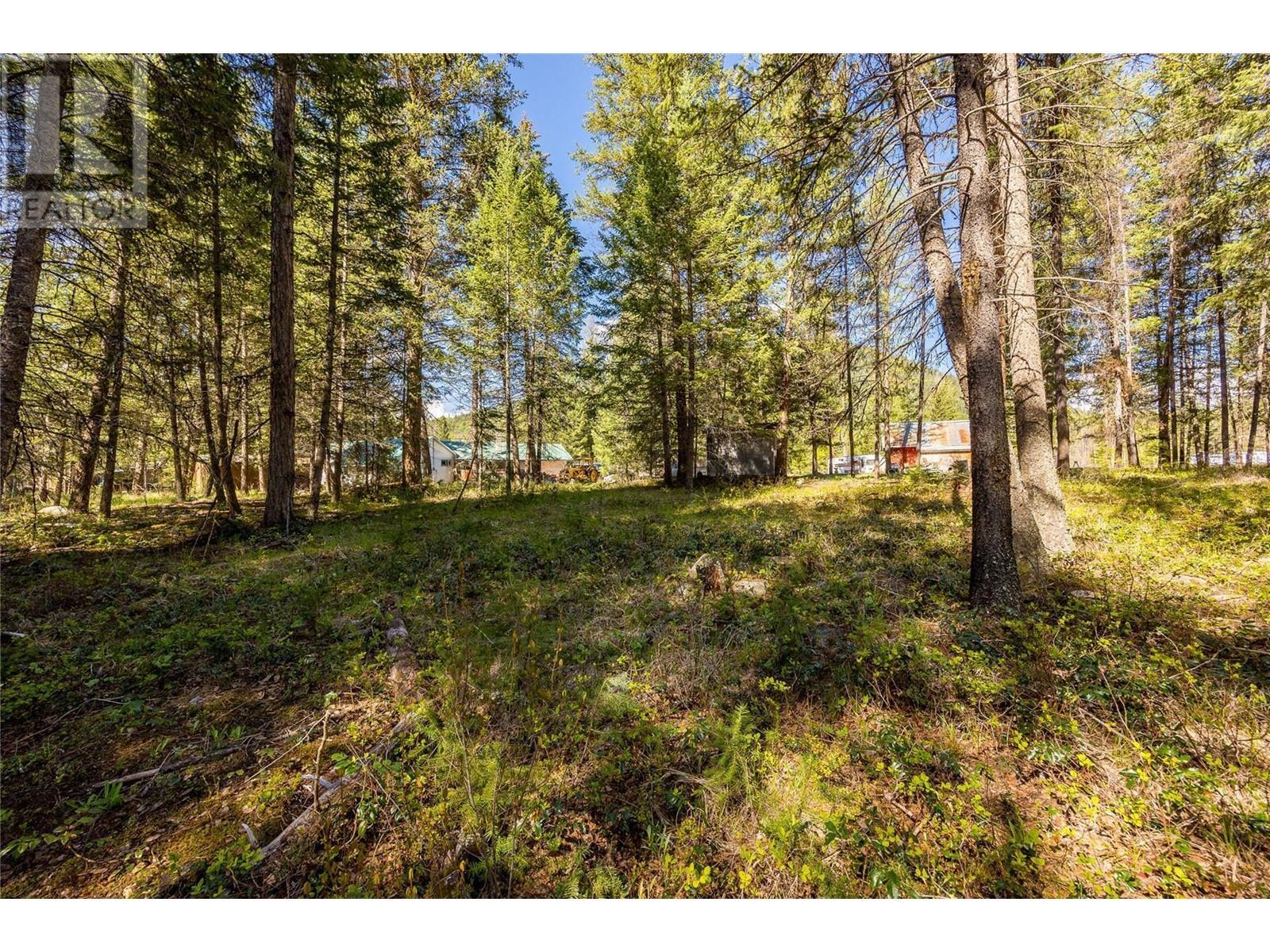 6580 33 Highway, Beaverdell, BC - Outdoor With View