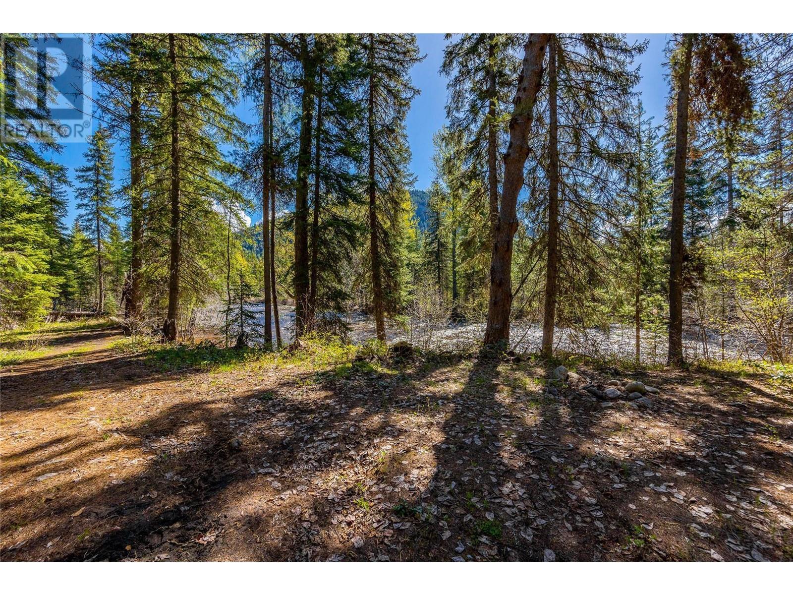 6580 33 Highway, Beaverdell, BC - Outdoor With View