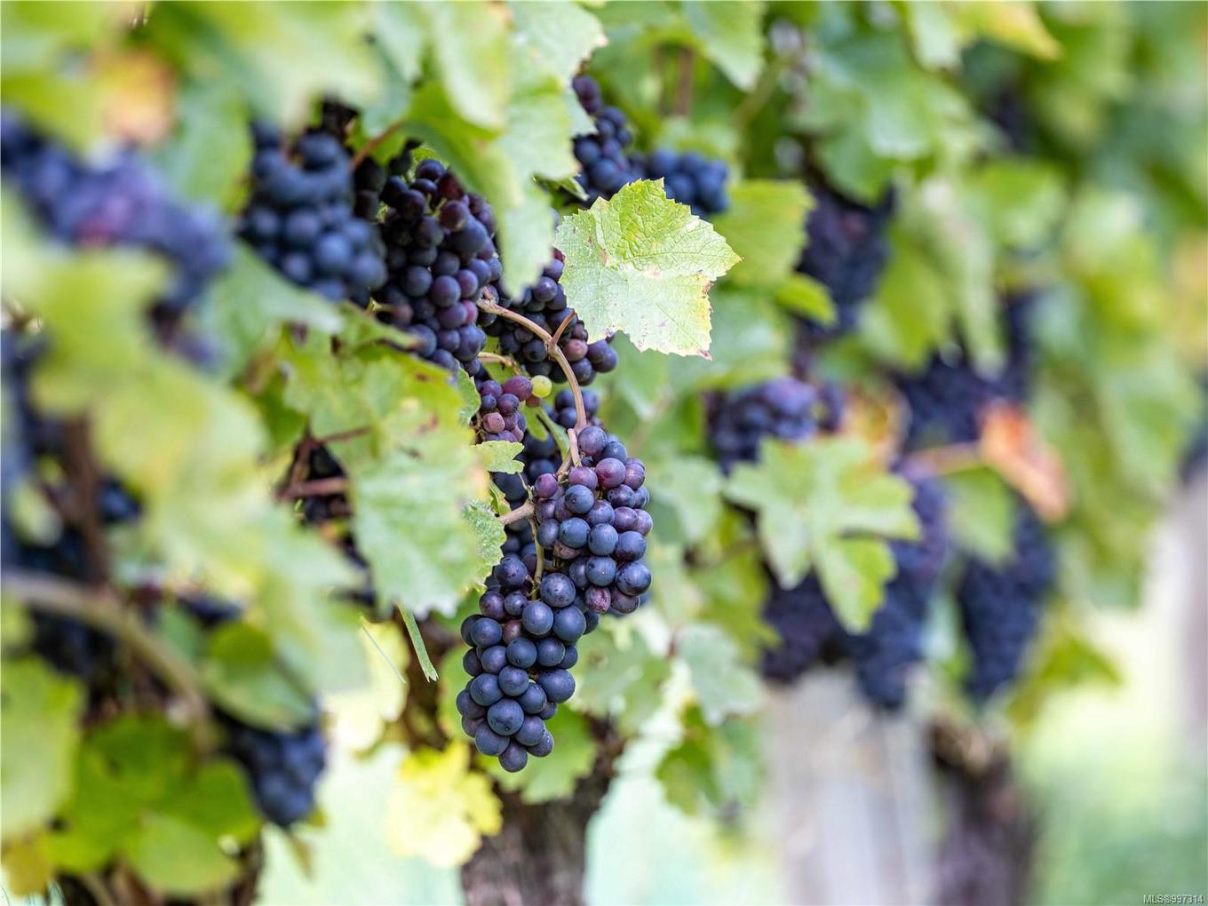 840 Cherry Point Rd, Cobble Hill, BC