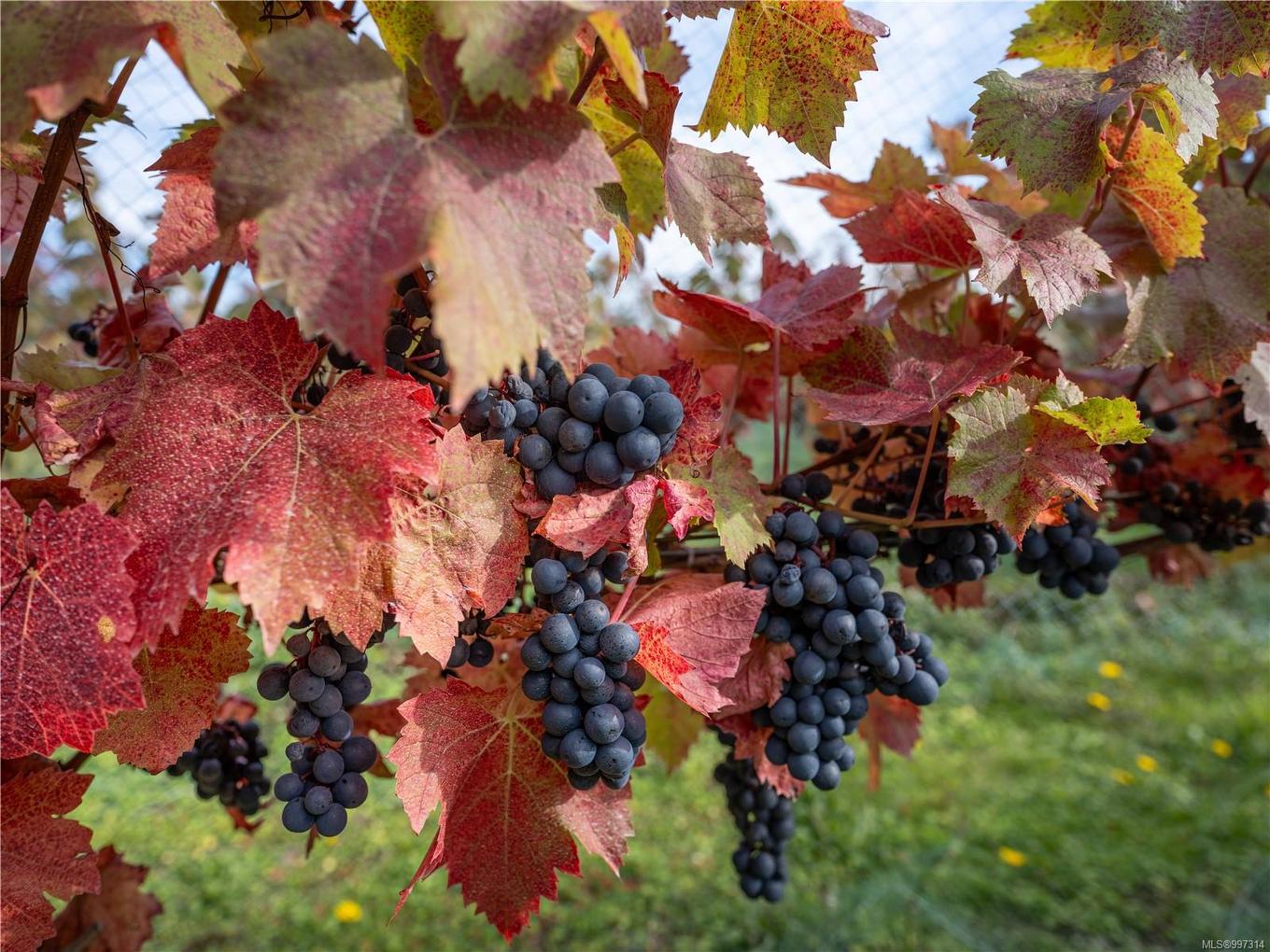 840 Cherry Point Rd, Cobble Hill, BC