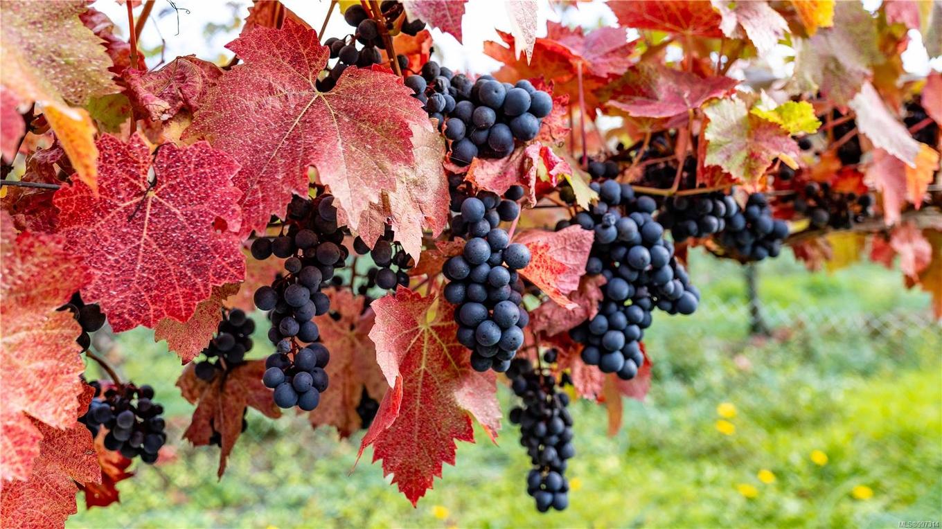 840 Cherry Point Rd, Cobble Hill, BC