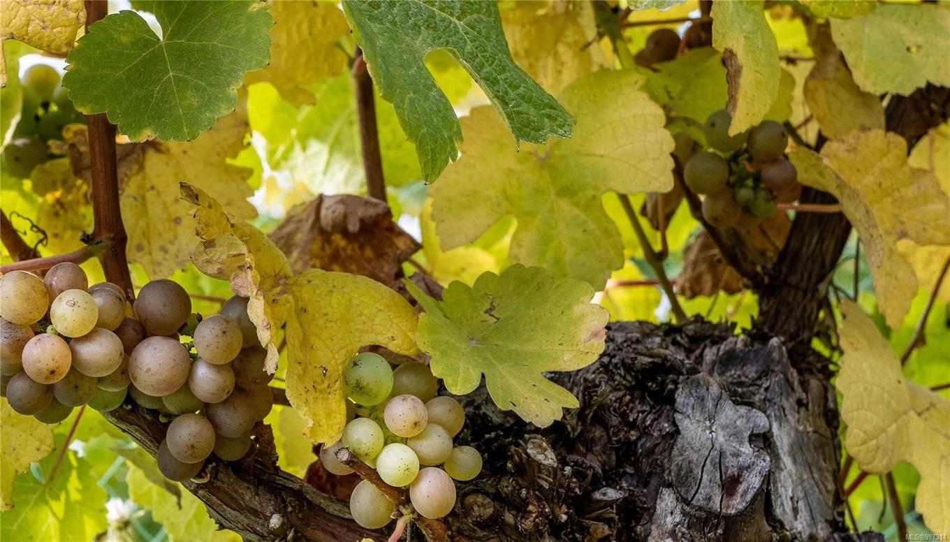 840 Cherry Point Rd, Cobble Hill, BC