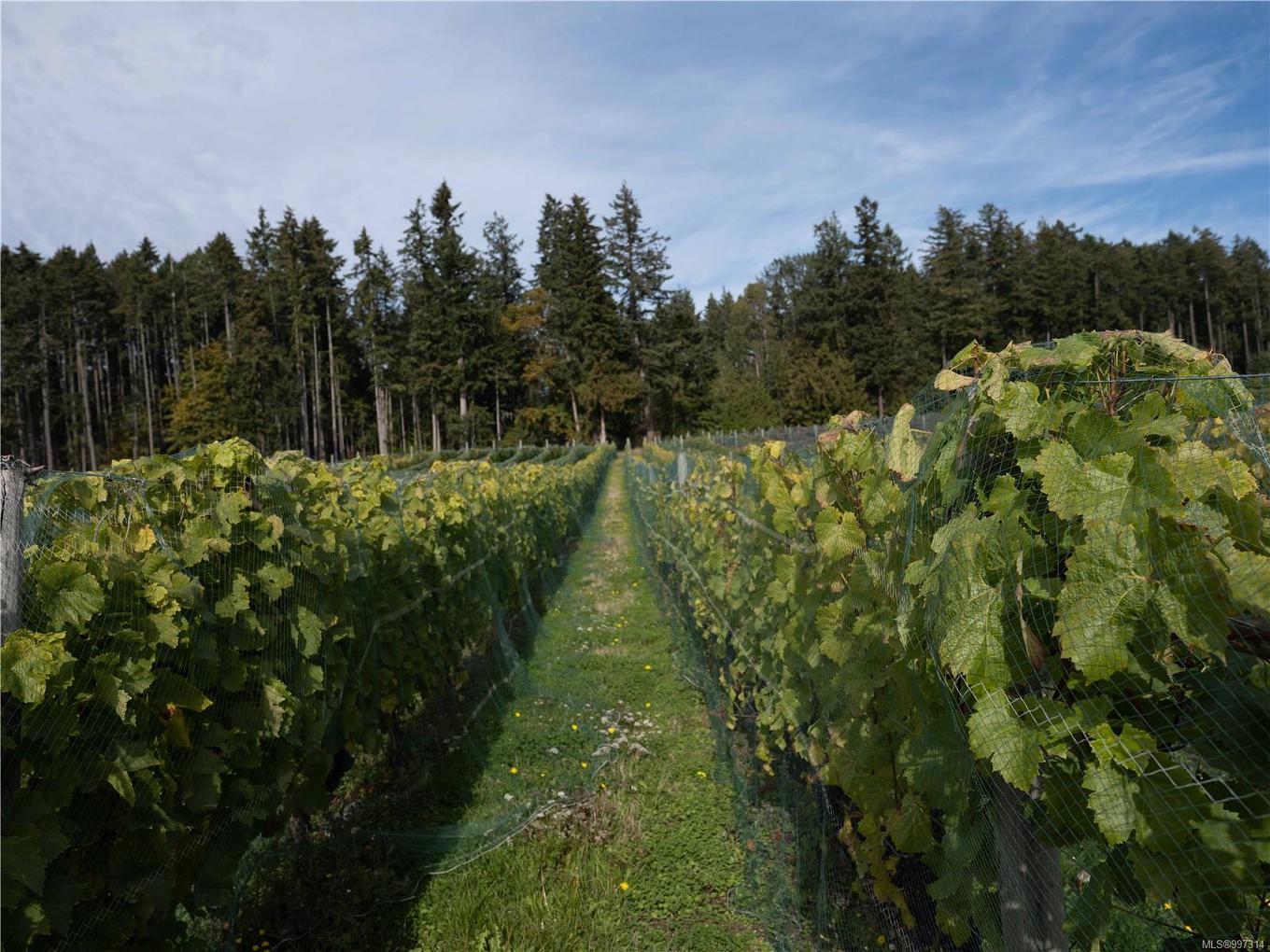 840 Cherry Point Rd, Cobble Hill, BC