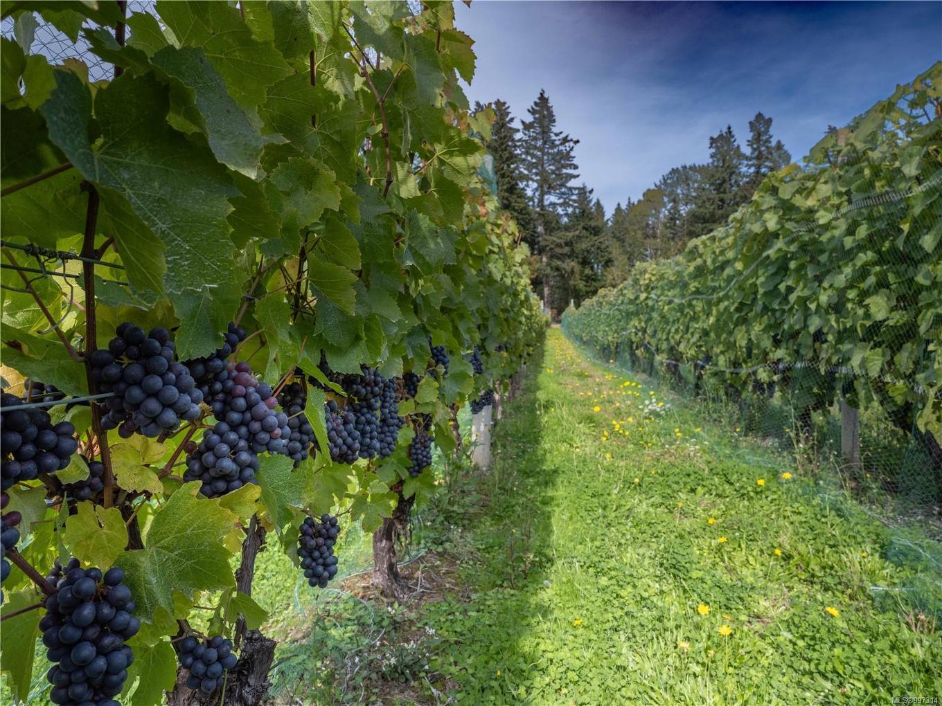 840 Cherry Point Rd, Cobble Hill, BC