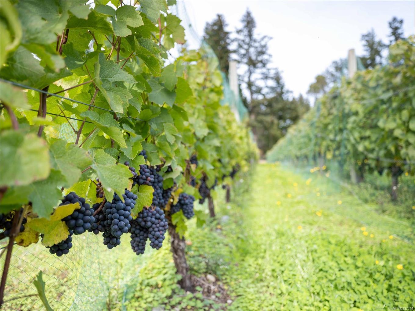 840 Cherry Point Rd, Cobble Hill, BC