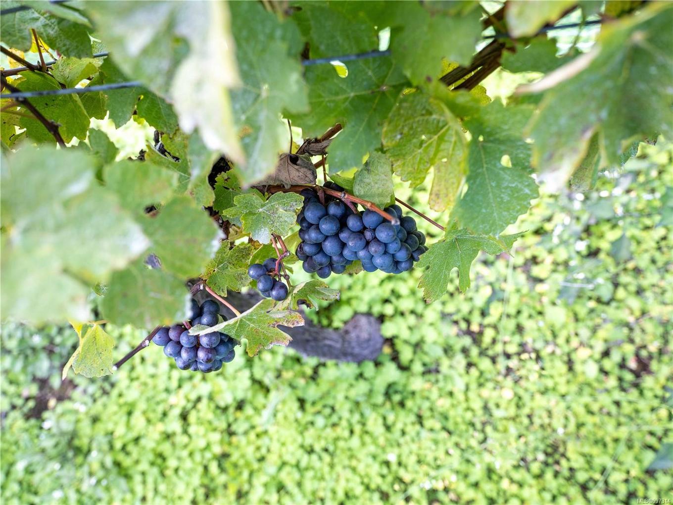 840 Cherry Point Rd, Cobble Hill, BC