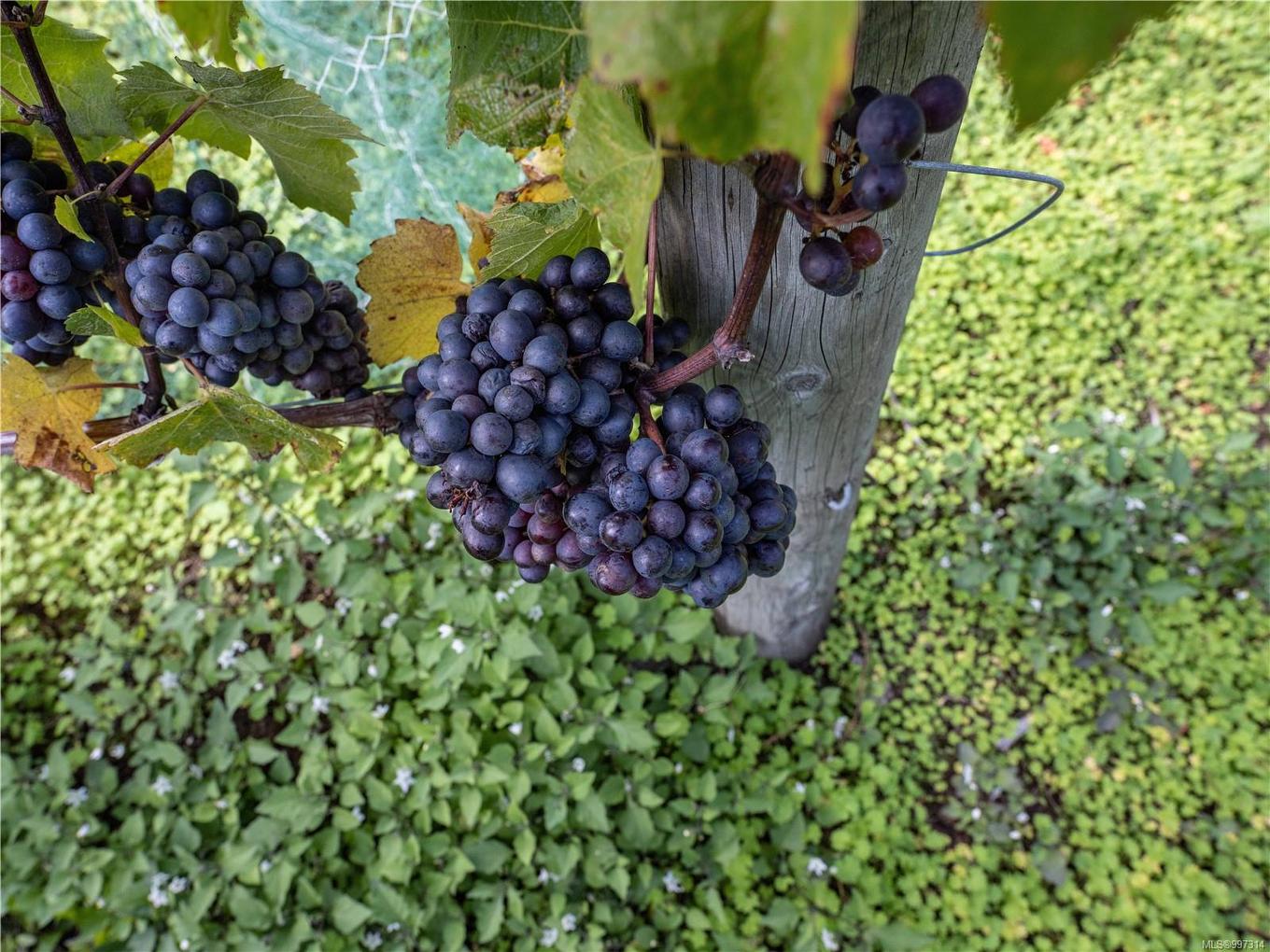 840 Cherry Point Rd, Cobble Hill, BC