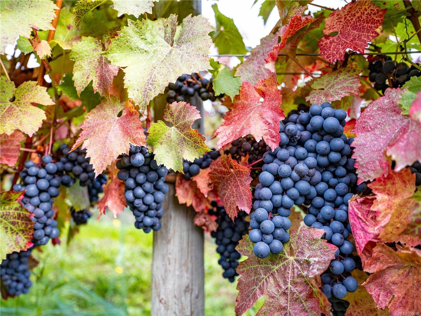 840 Cherry Point Rd, Cobble Hill, BC