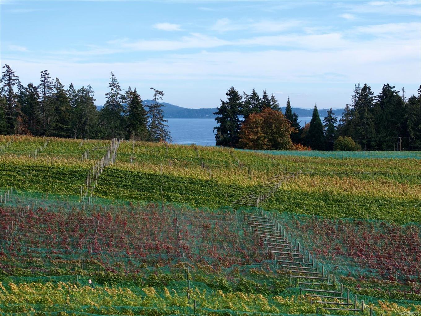 840 Cherry Point Rd, Cobble Hill, BC