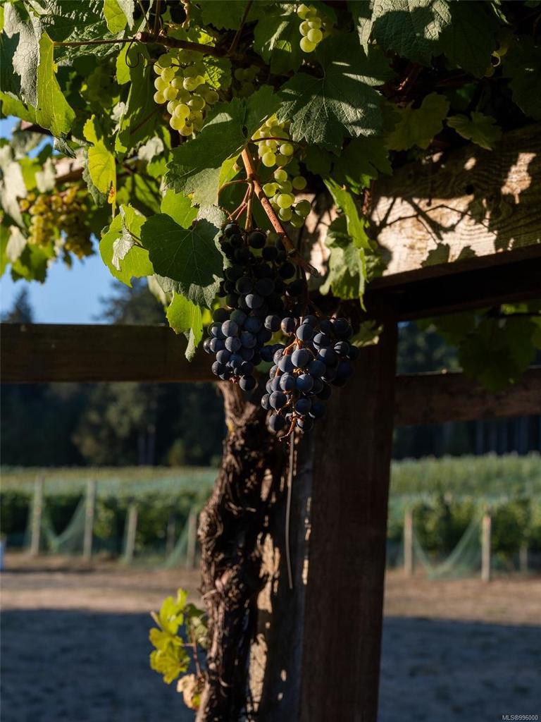 840 Cherry Point Rd, Cobble Hill, BC