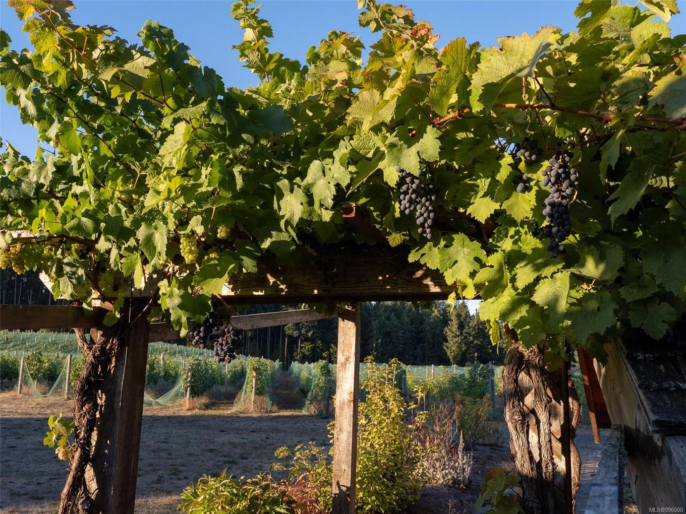 840 Cherry Point Rd, Cobble Hill, BC