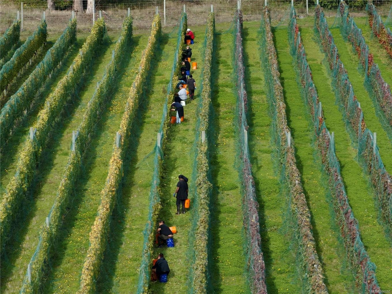 840 Cherry Point Rd, Cobble Hill, BC