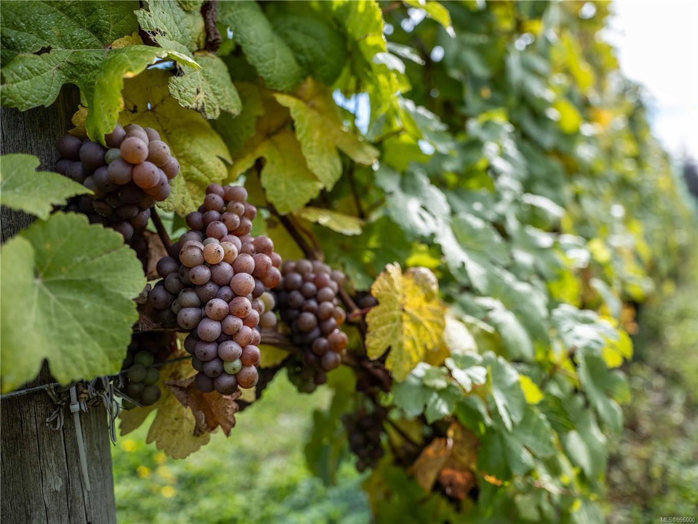 840 Cherry Point Rd, Cobble Hill, BC