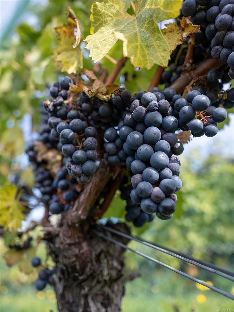 840 Cherry Point Rd, Cobble Hill, BC