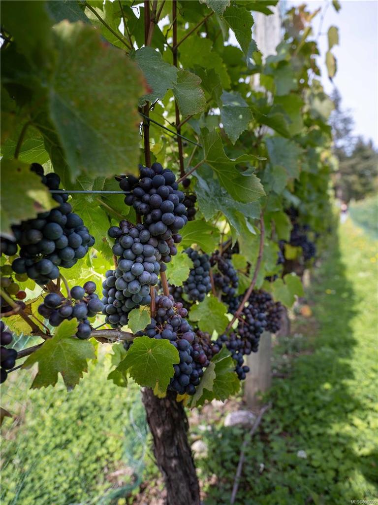 840 Cherry Point Rd, Cobble Hill, BC