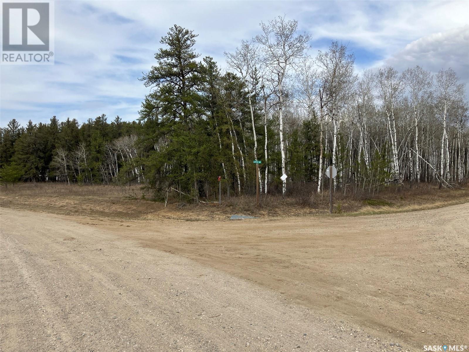 1 Aspen Way, Nipawin Rm No. 487, SK