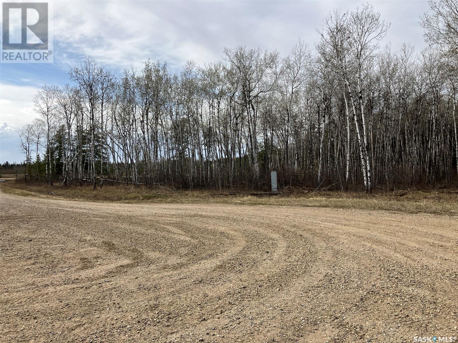 1 Aspen Way, Nipawin Rm No. 487, SK