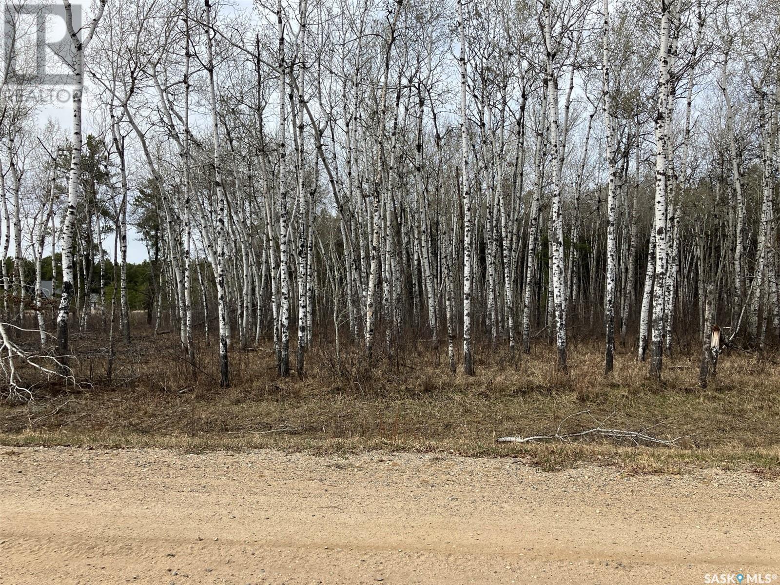 1 Aspen Way, Nipawin Rm No. 487, SK