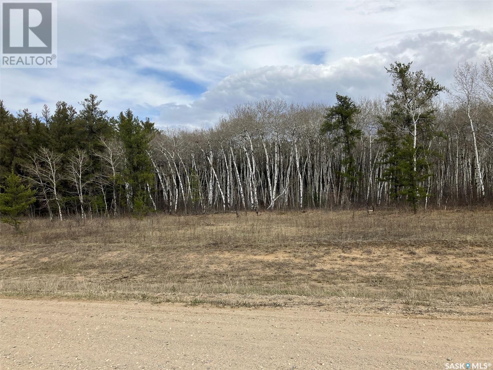 1 Aspen Way, Nipawin Rm No. 487, SK