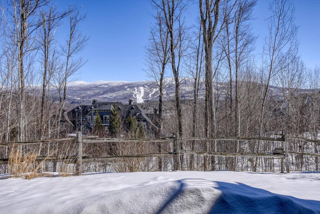 View - 1-250 Rue Du Mont-Plaisant, Mont-Tremblant, QC - Outdoor With View