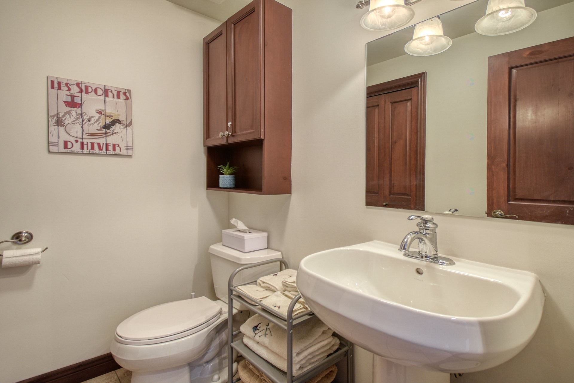 Powder room - 1-250 Rue Du Mont-Plaisant, Mont-Tremblant, QC - Indoor Photo Showing Bathroom