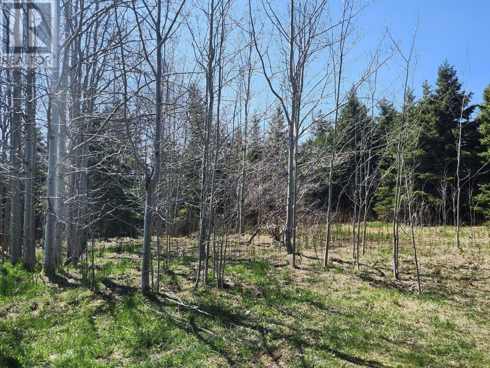 47 Cross Road, Bay Roberts, NL