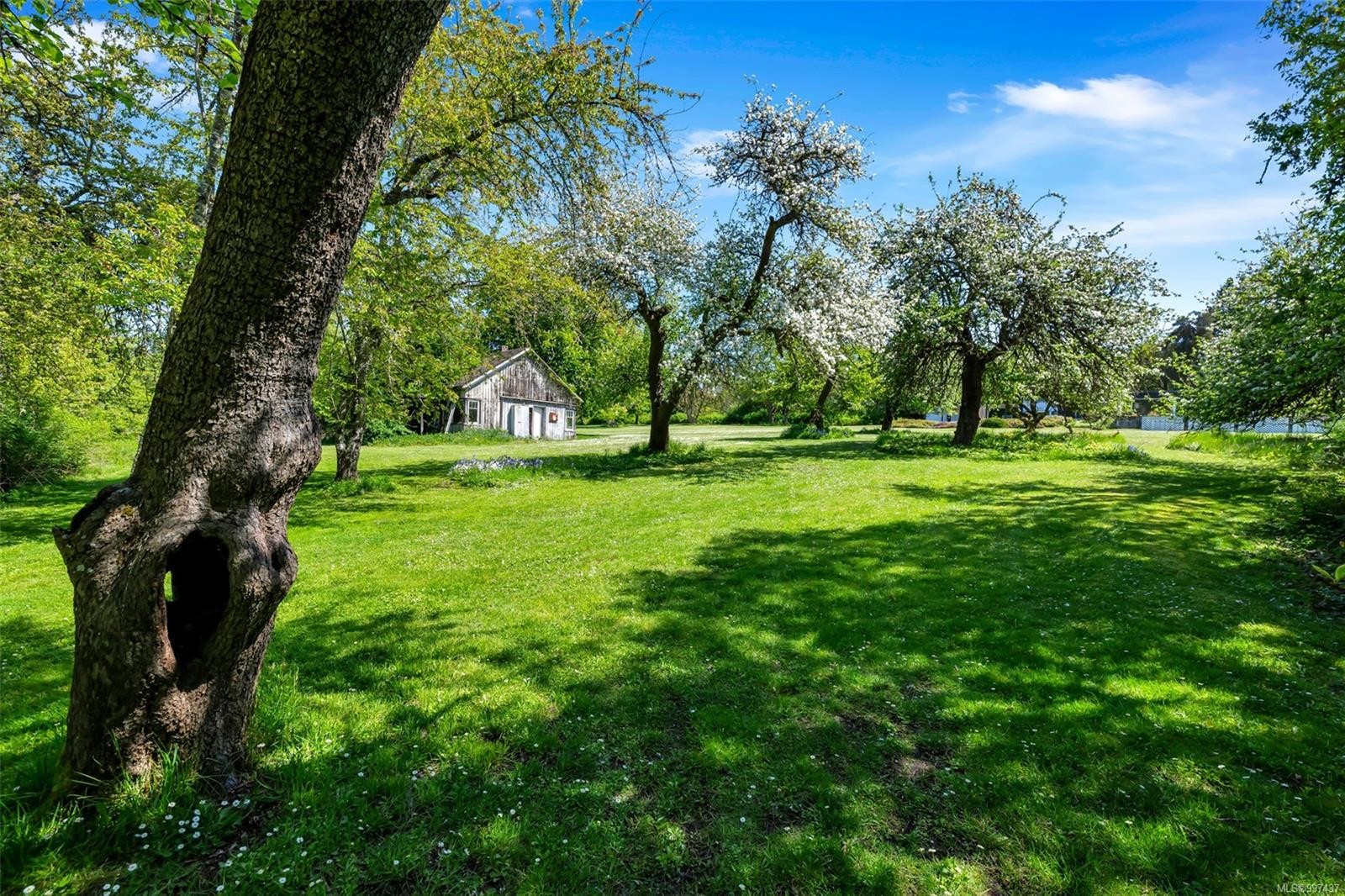 6364 Deykin Ave, Duncan, BC