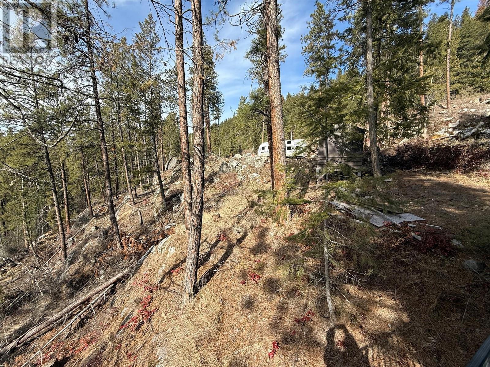 9779 3A Highway, Kuskanook, BC - Outdoor With View