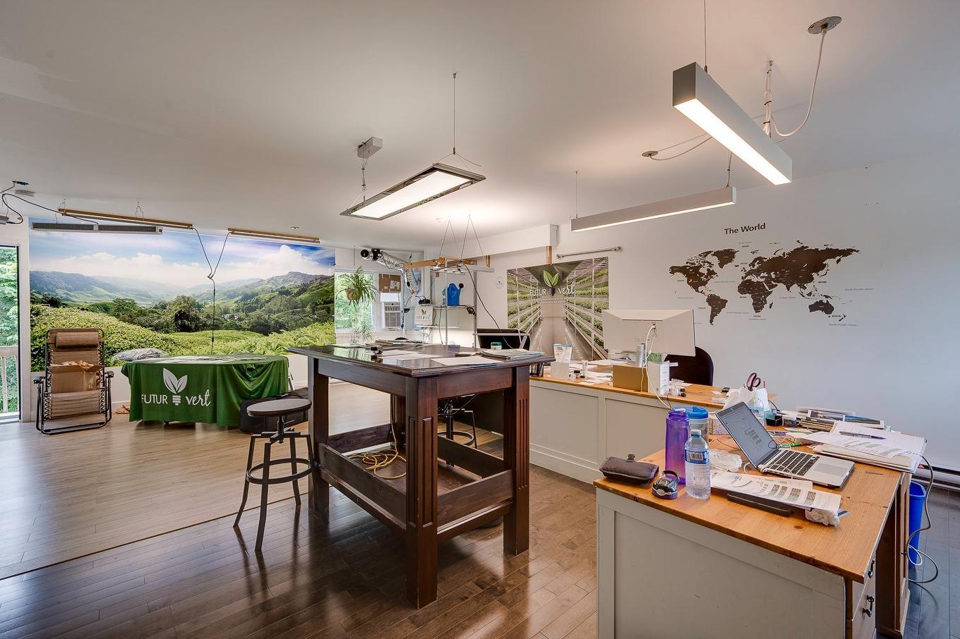 Interior - 450 - 464 Boul. Des Laurentides, Piedmont, QC - Indoor