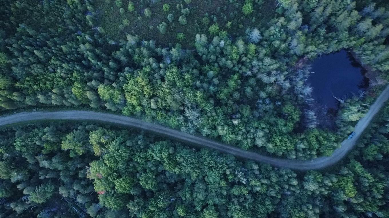 Old Halifax Road, Salt Springs, NS