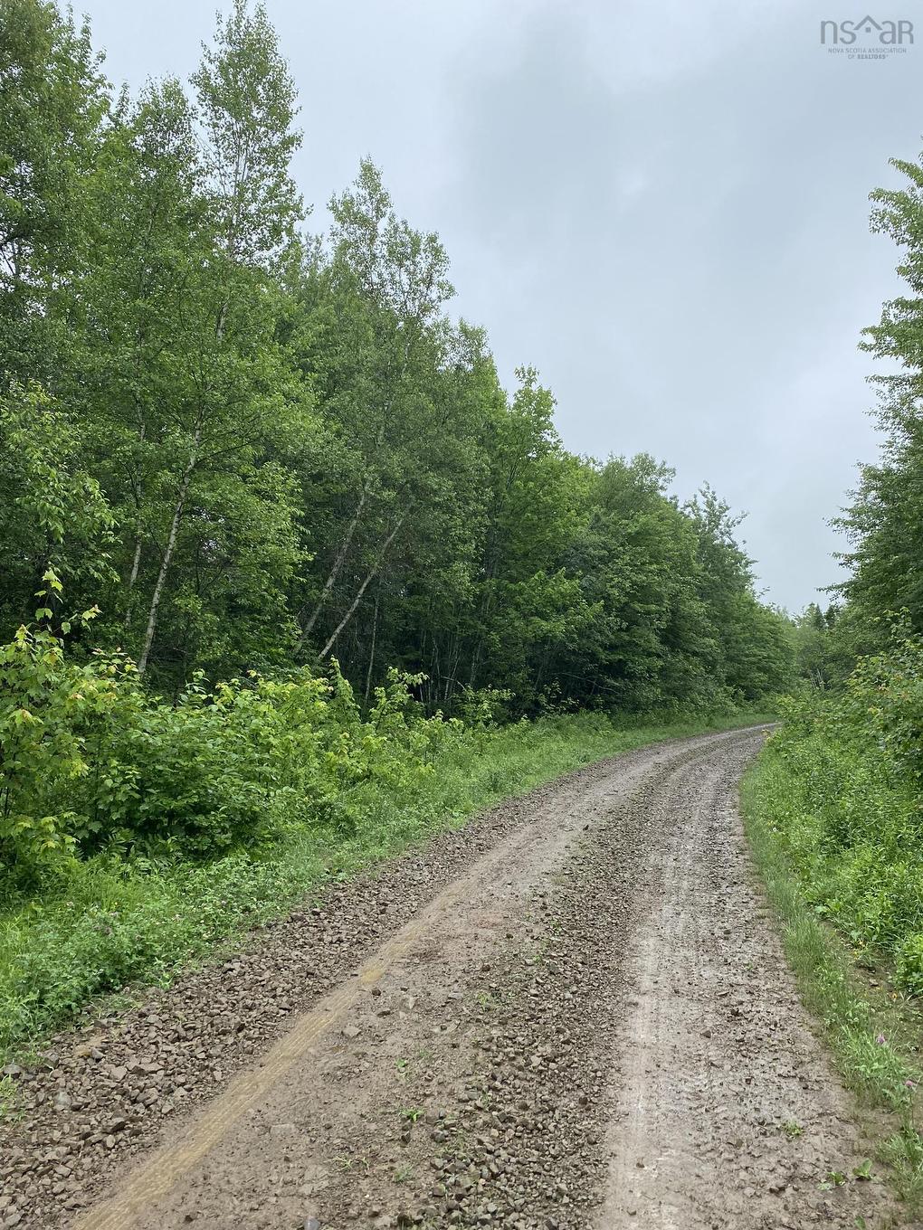 Old Halifax Road, Salt Springs, NS