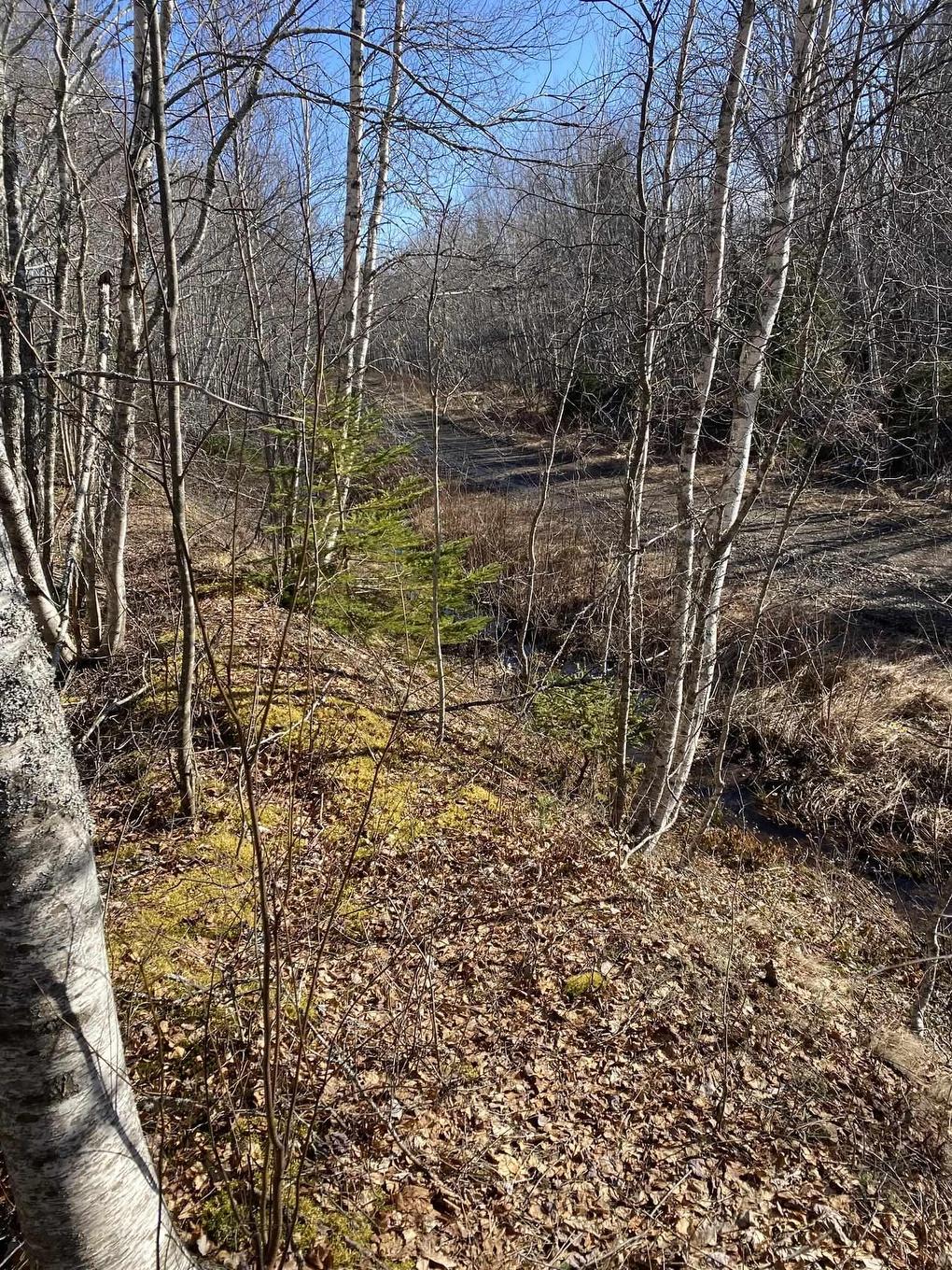 Old Halifax Road, Salt Springs, NS