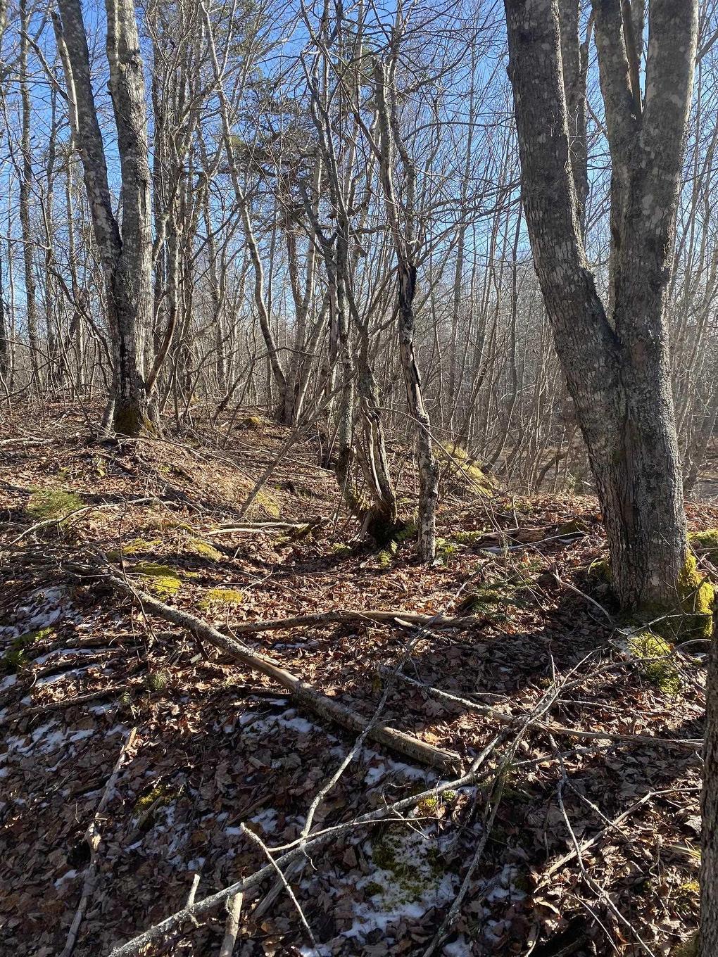 Old Halifax Road, Salt Springs, NS