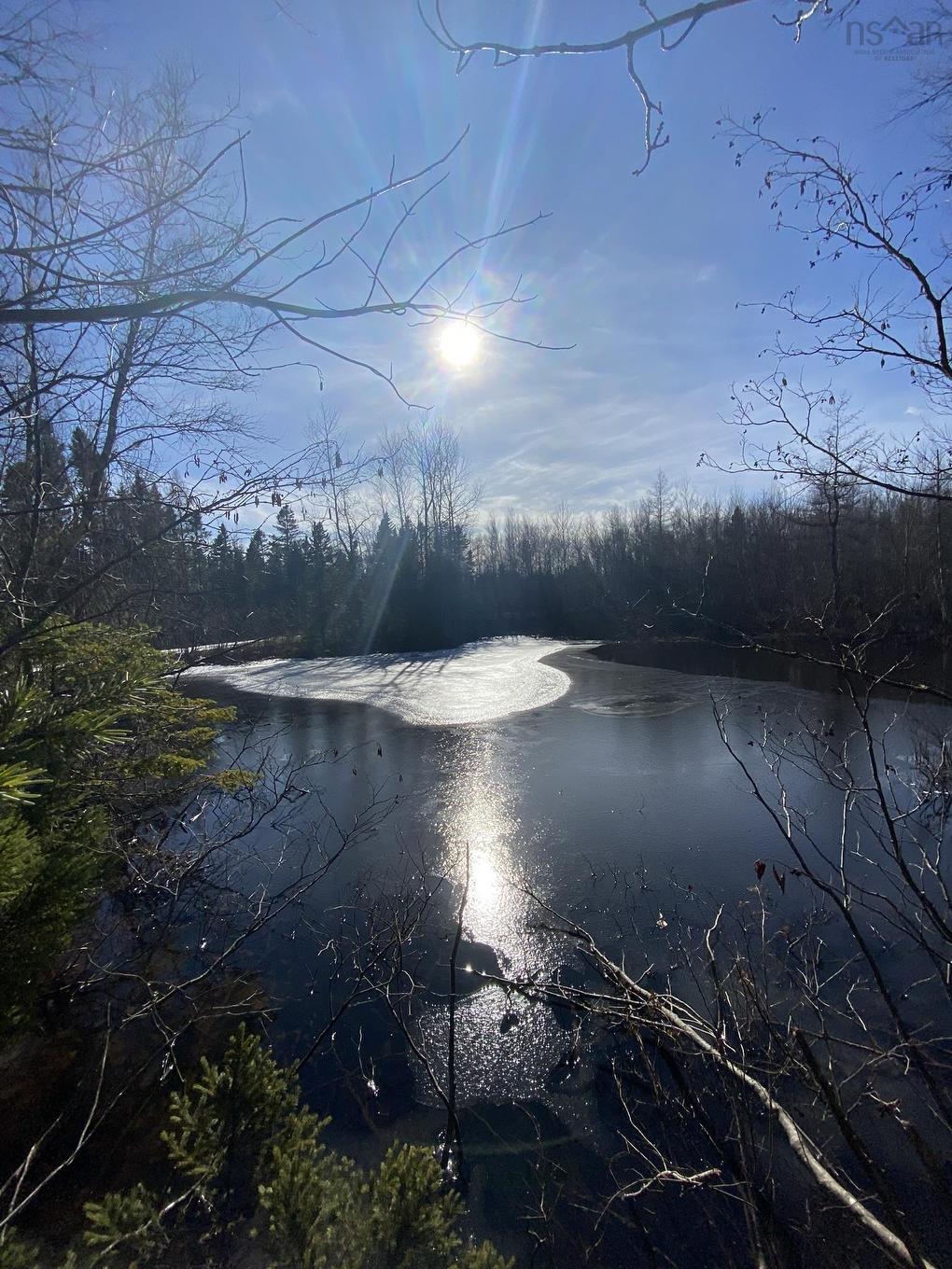 Old Halifax Road, Salt Springs, NS