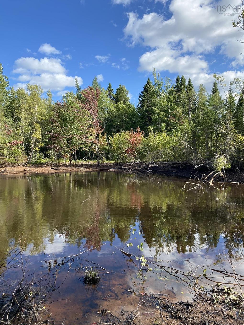 Old Halifax Road, Salt Springs, NS