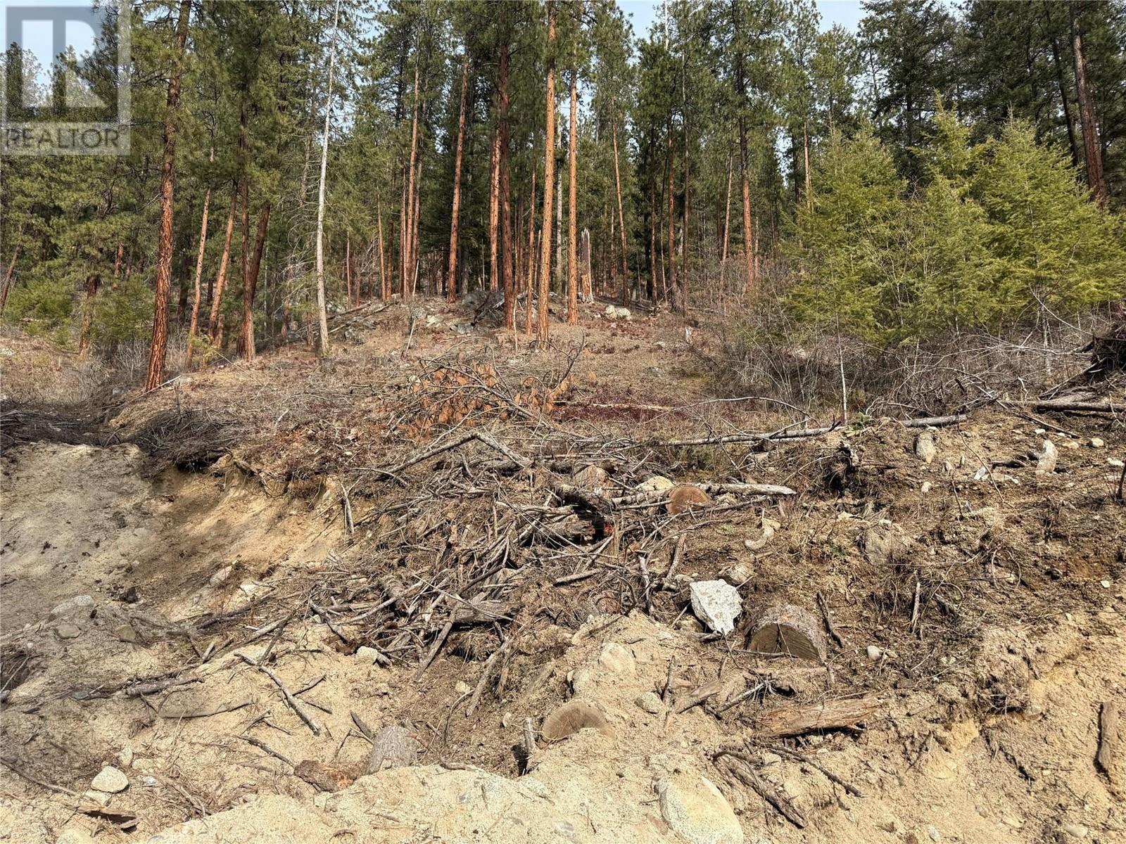 9703 3A Highway, Kuskanook, BC - Outdoor With View