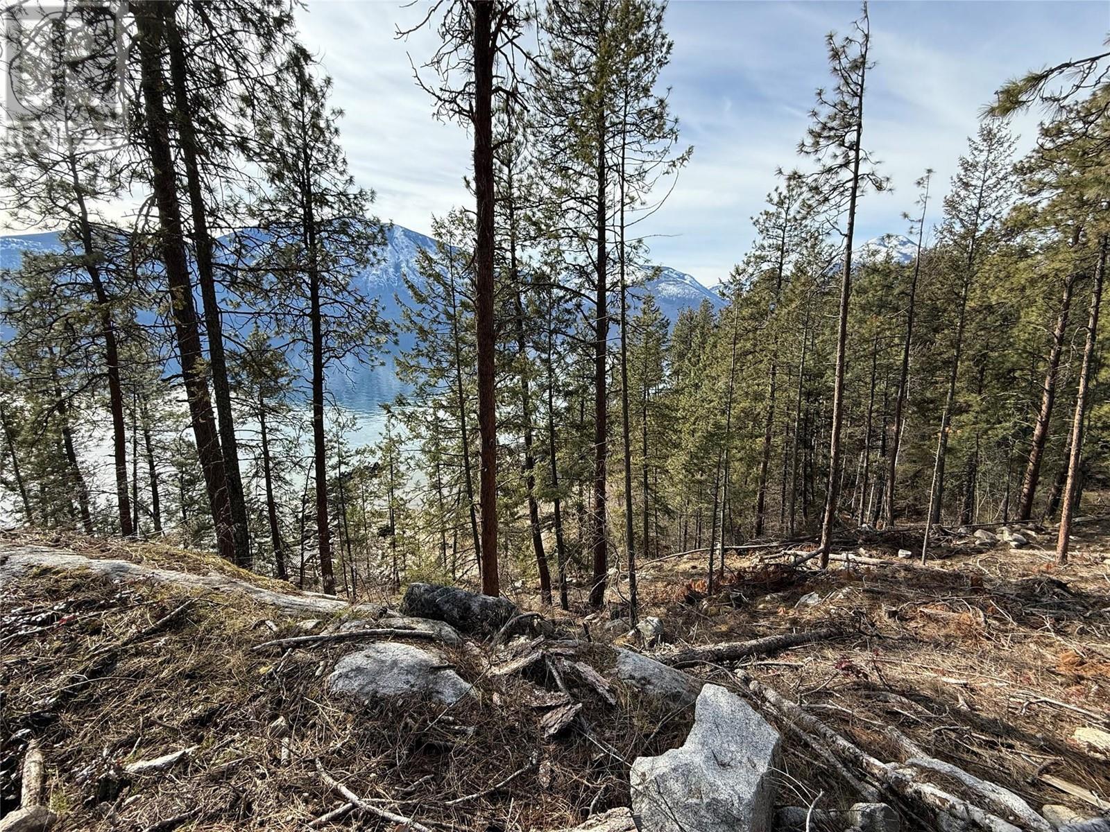 9779 3A Highway Lot# C, Kuskanook, BC