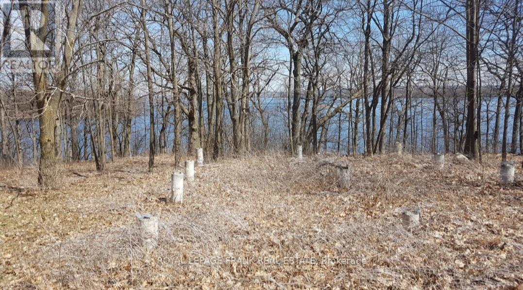 Sonotubes - 110 Cow Island, Otonabee-South Monaghan, ON