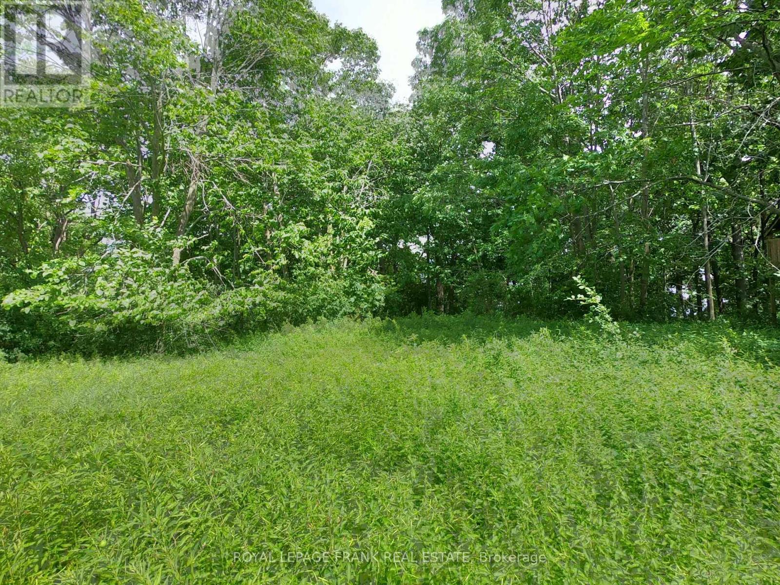 Clearing - 110 Cow Island, Otonabee-South Monaghan, ON