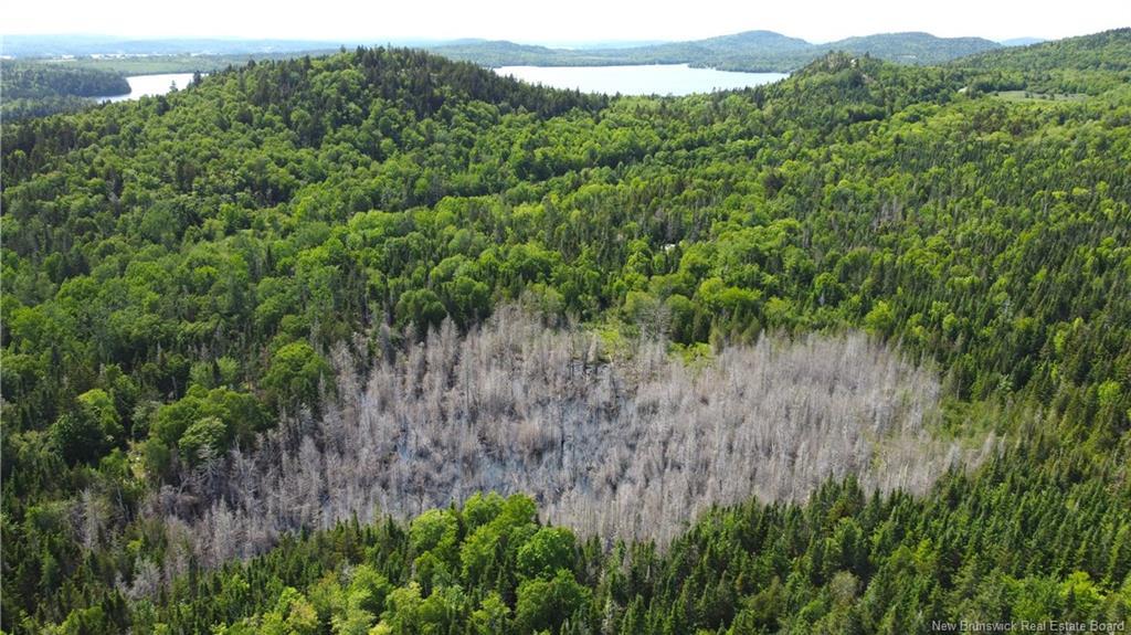 Lot 2024-1 Route 127, Chamcook, NB