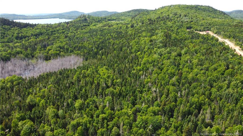 Lot 2024-1 Route 127, Chamcook, NB