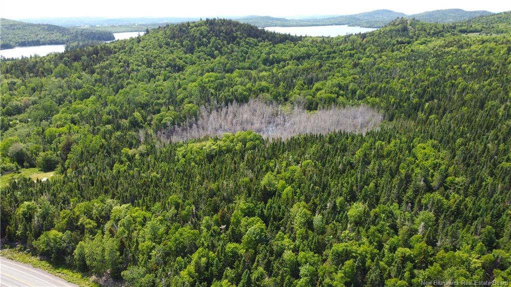 Lot 2024-2 Route 127, Chamcook, NB
