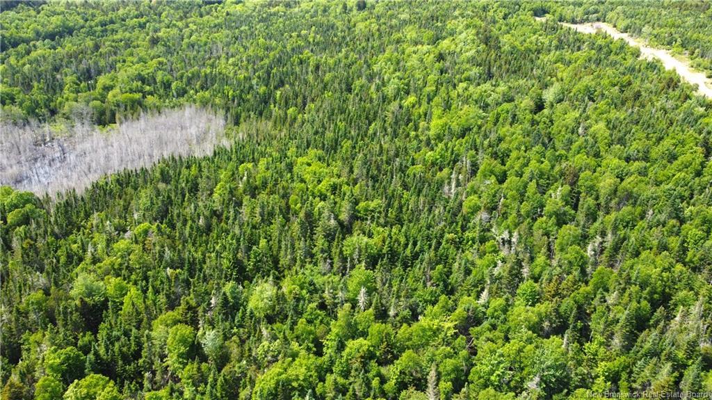 Lot 2024-3 Route 127, Chamcook, NB