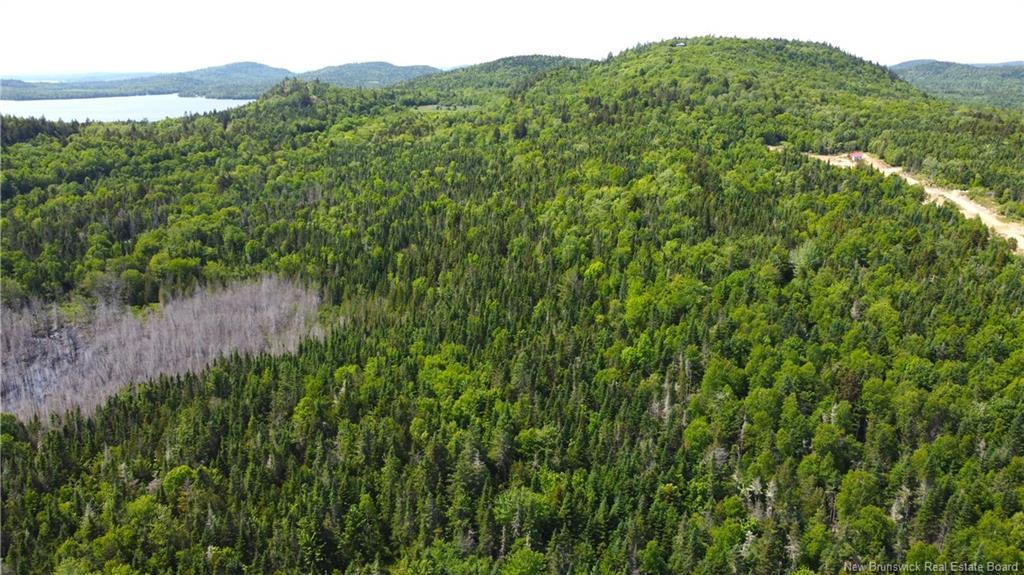 Lot 2024-3 Route 127, Chamcook, NB