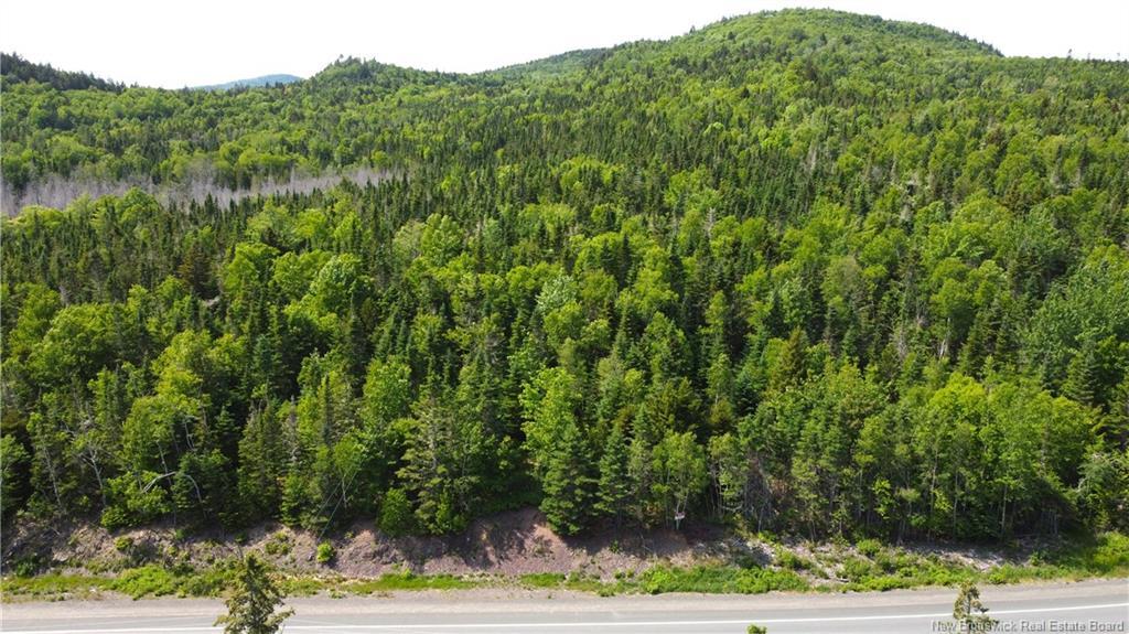 Lot 2024-3 Route 127, Chamcook, NB