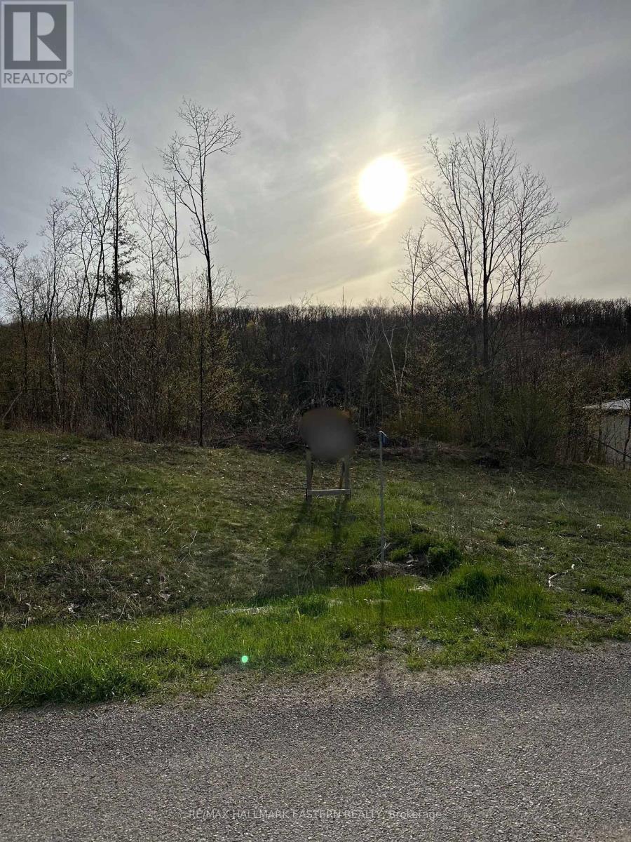 62 Trent View Drive, Trent Hills (Hastings), ON